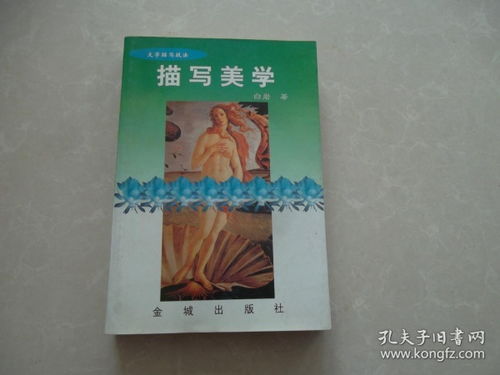 描写美学